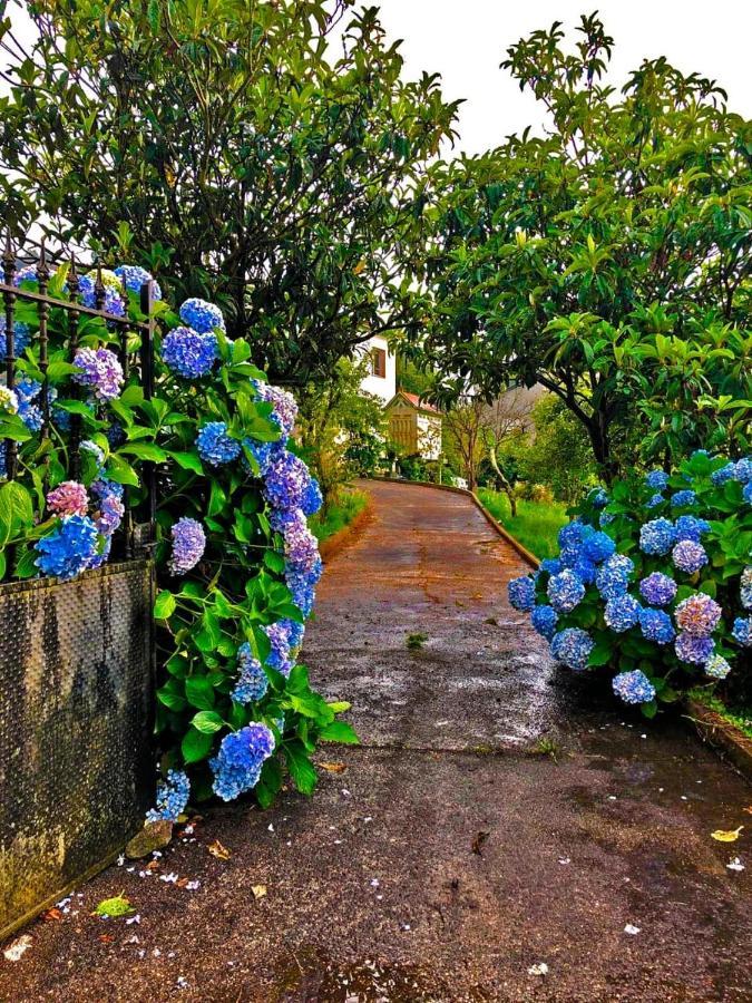 Hogar Pepa Villa Marín Dış mekan fotoğraf